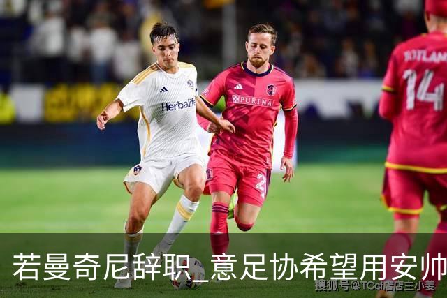 若曼奇尼辞职 意足协希望用安帅或卡纳瓦罗替代